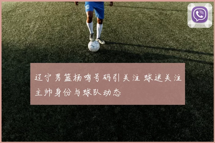 辽宁男篮杨鸣号码引关注 球迷关注主帅身份与球队动态