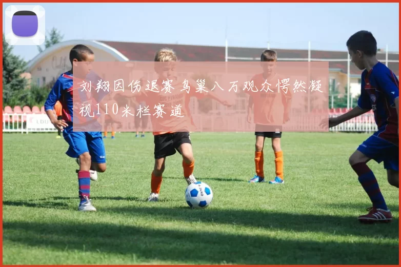 刘翔因伤退赛鸟巢八万观众愕然凝视110米栏赛道