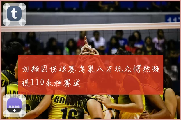 刘翔因伤退赛鸟巢八万观众愕然凝视110米栏赛道