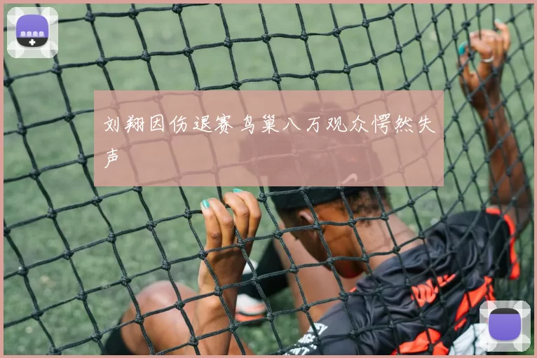 刘翔因伤退赛鸟巢八万观众愕然失声