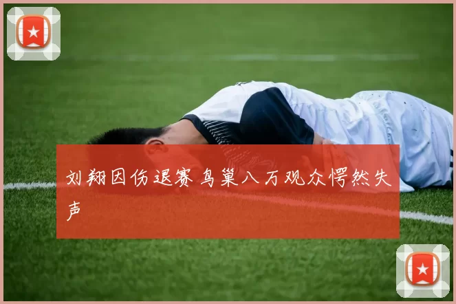 刘翔因伤退赛鸟巢八万观众愕然失声