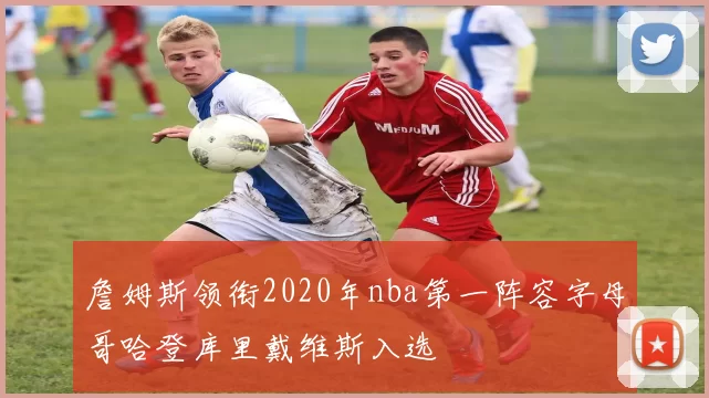 詹姆斯领衔2020年nba第一阵容字母哥哈登库里戴维斯入选