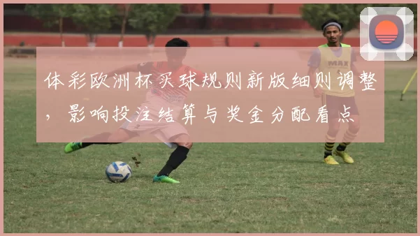 体彩欧洲杯买球规则新版细则调整，影响投注结算与奖金分配看点