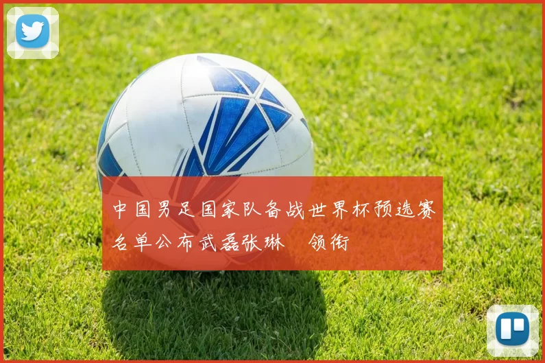 中国男足国家队备战世界杯预选赛名单公布武磊张琳芃领衔