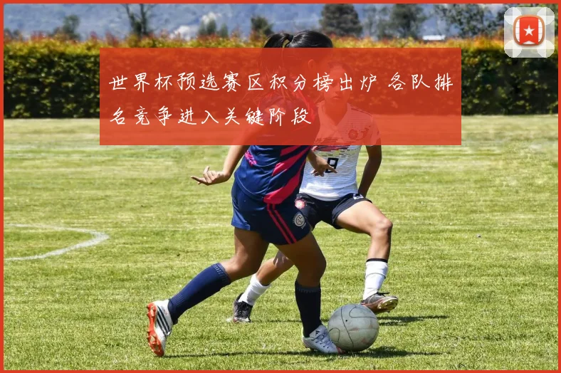 世界杯预选赛区积分榜出炉 各队排名竞争进入关键阶段