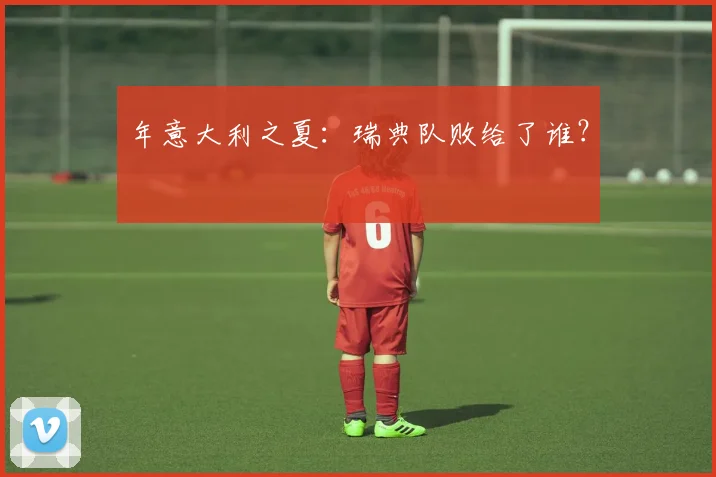 年意大利之夏：瑞典队败给了谁？